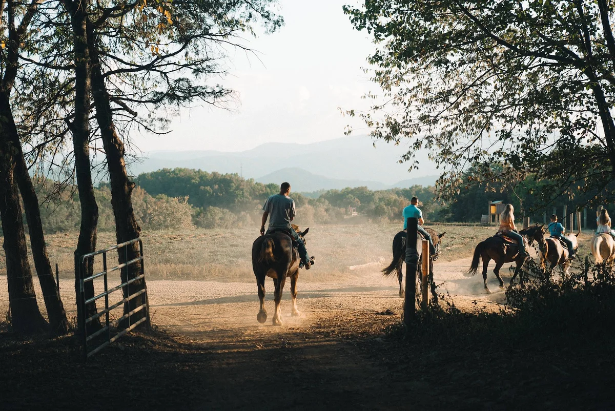 Jayell Ranch Family Adventure Park - Ask AI | mindtrip