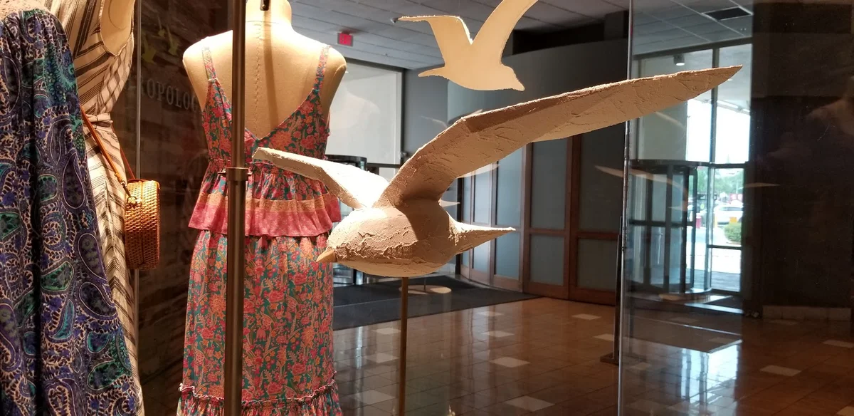 Anthropologie in New Orleans, Louisiana - Ask AI | mindtrip