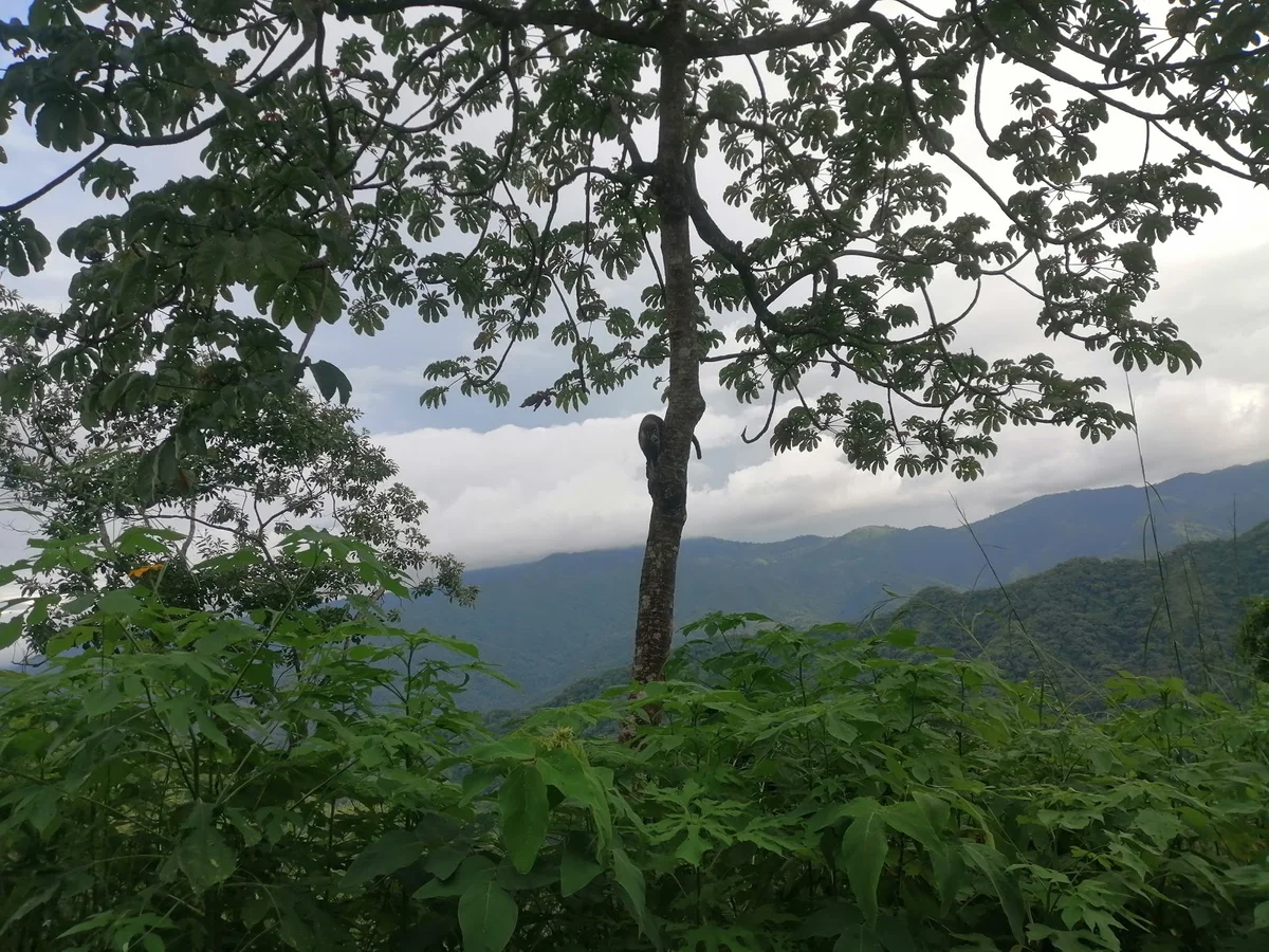 Parque Nacional Diriá in Santa Cruz | Ask Anything