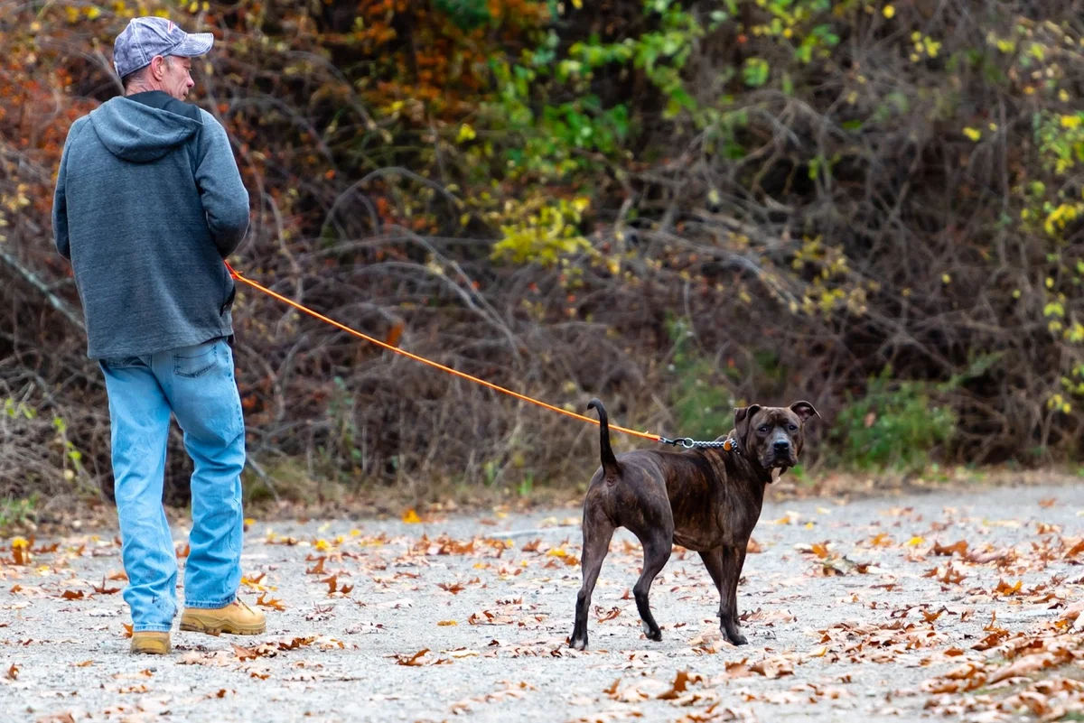 Stodder's Neck in Hingham, Massachusetts | Ask Anything