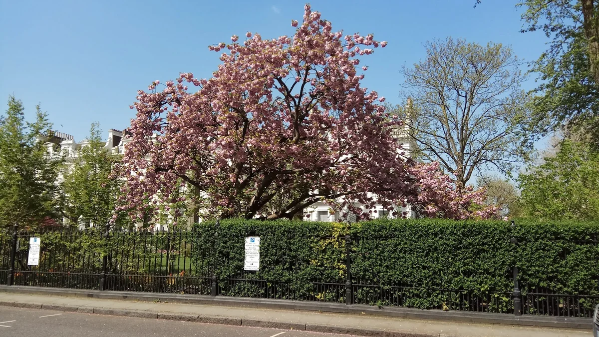 Pembridge Square in London | What to Know Before You Go