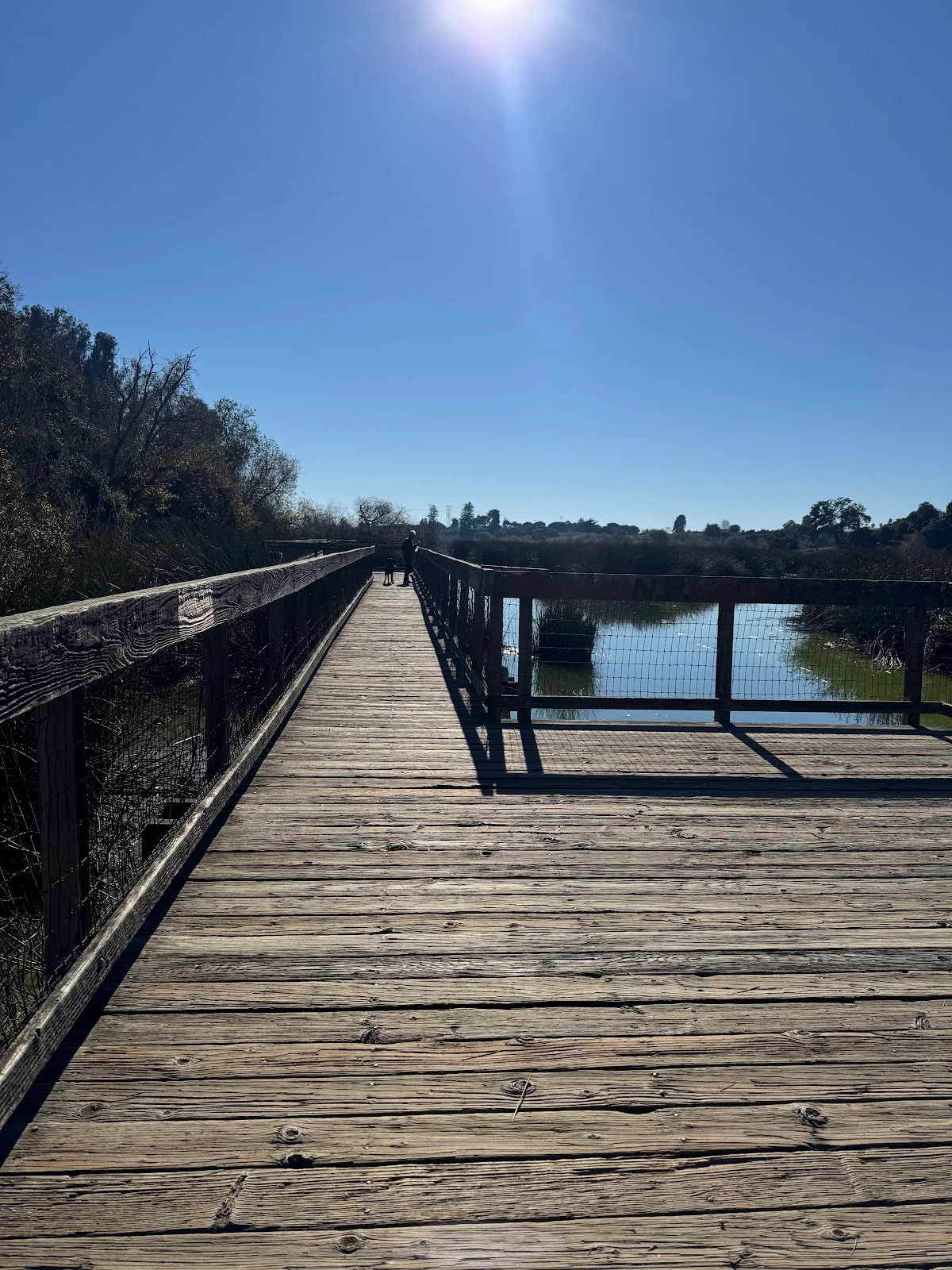 Pinto Lake County Park | What to Know Before You Go