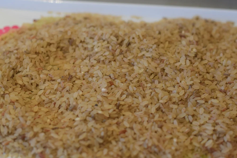Ofada Rice in Lagos - Ask AI | mindtrip