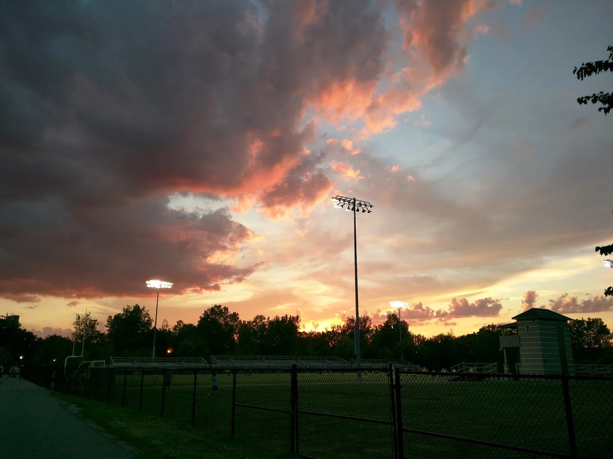 Russell Field in Cambridge - Ask AI | mindtrip