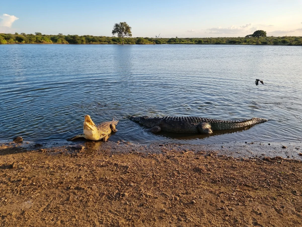 Sunset Dam in Mpumalanga | What to Know Before You Go