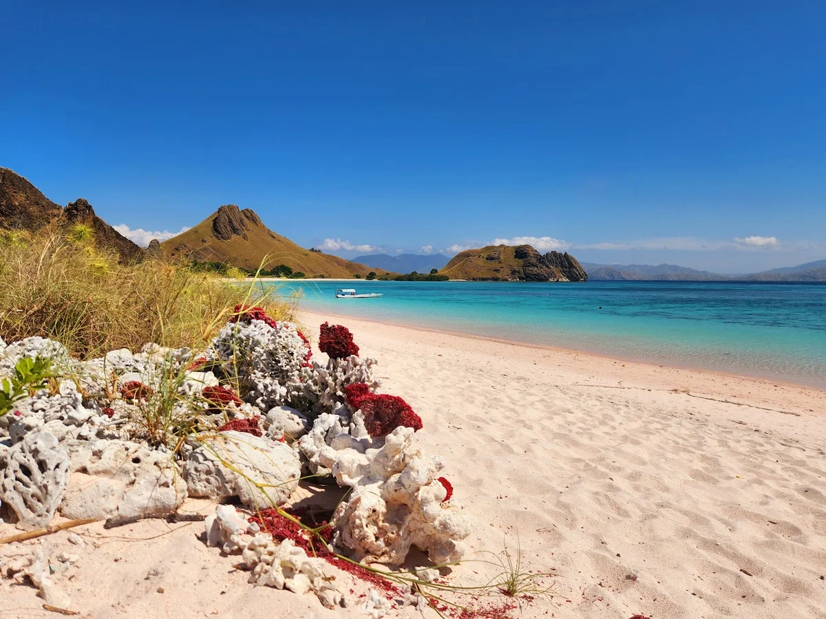 Pink Beach | What to Know Before You Go