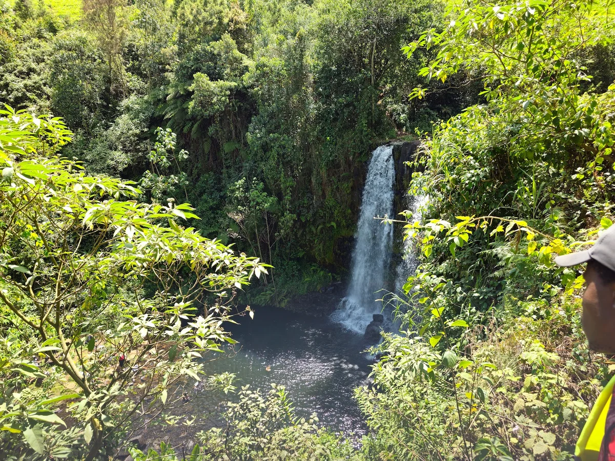 Kanunga waterfalls in Kiarutara | What to Know Before You Go