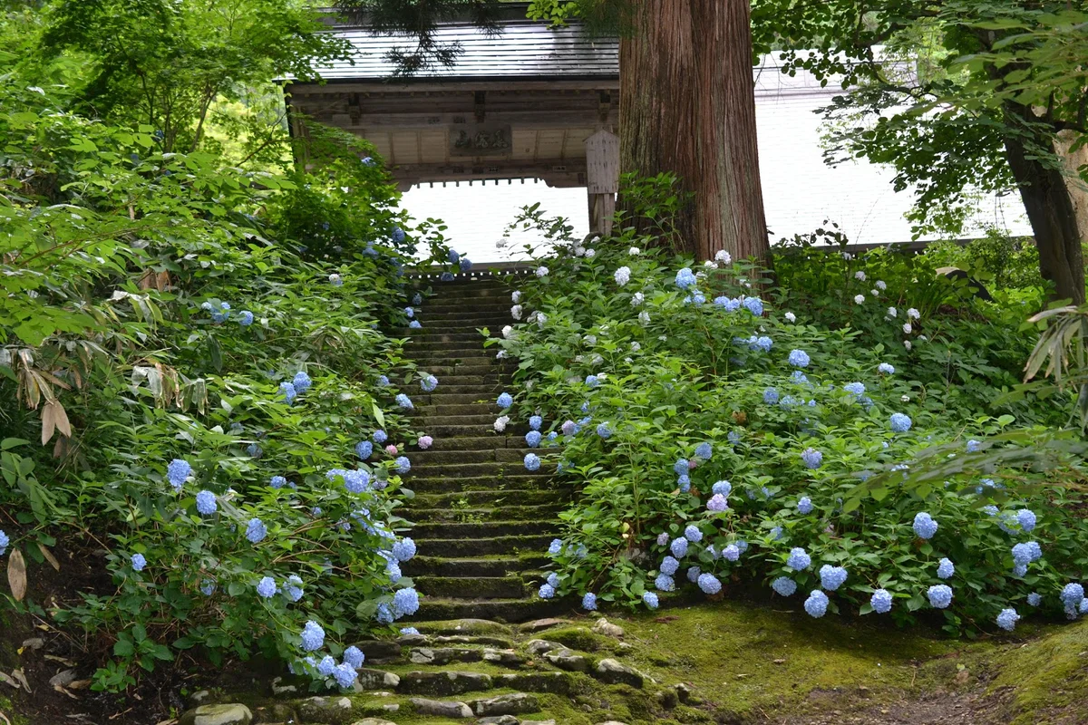 Kosenji in Oishida-machi, Yamagata Prefecture | Ask Anything