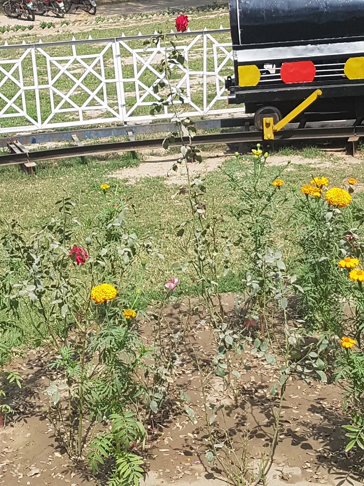 Foji Park in Punjab | What to Know Before You Go