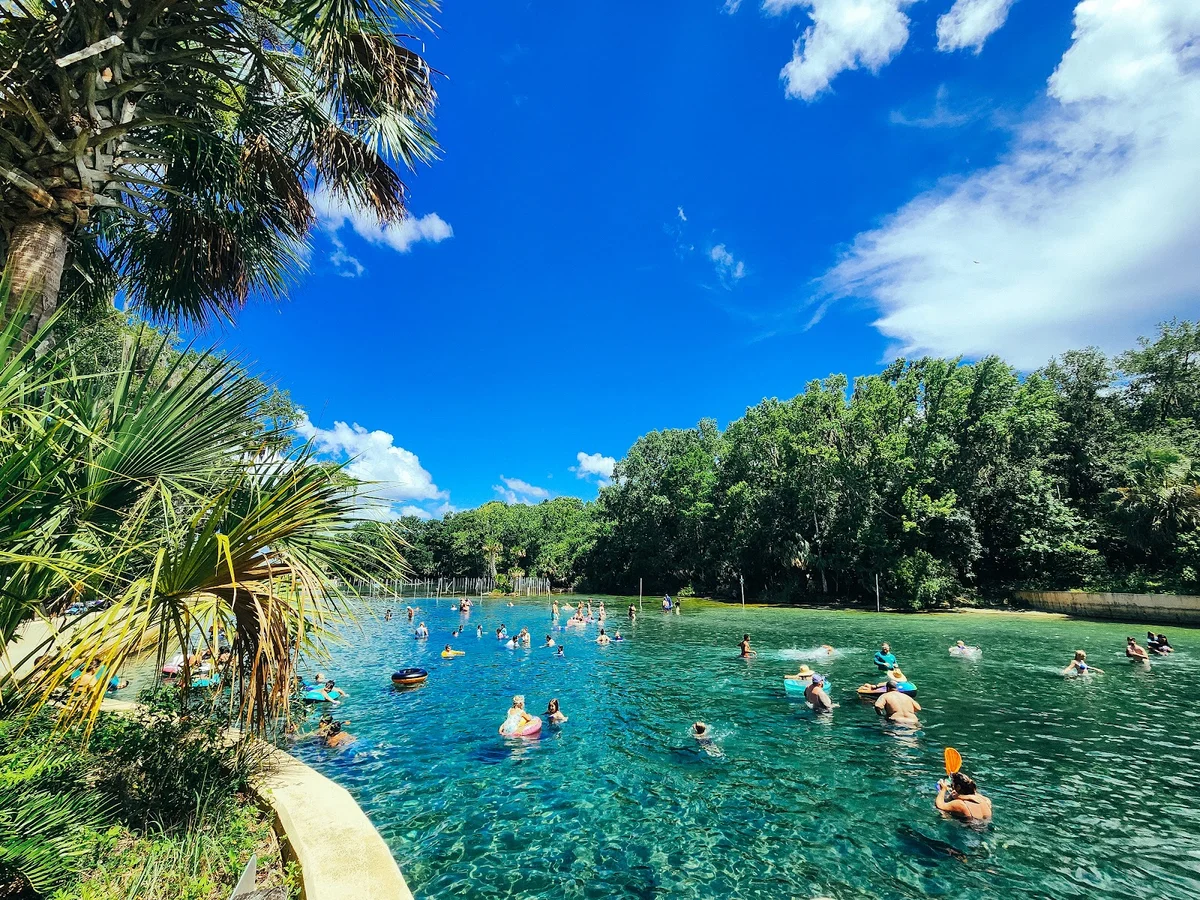 Salt Springs Recreation Area - Ask AI | mindtrip