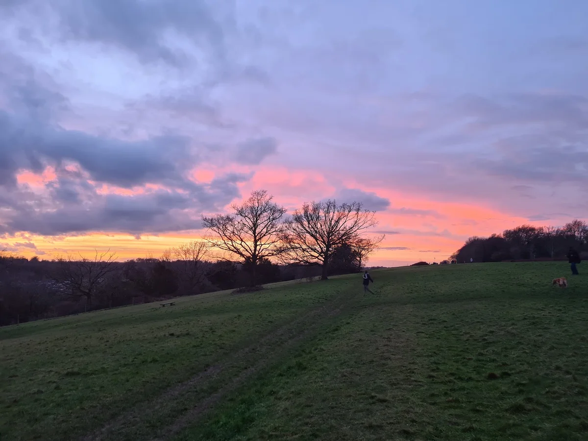 Riddlesdown Common | What to Know Before You Go