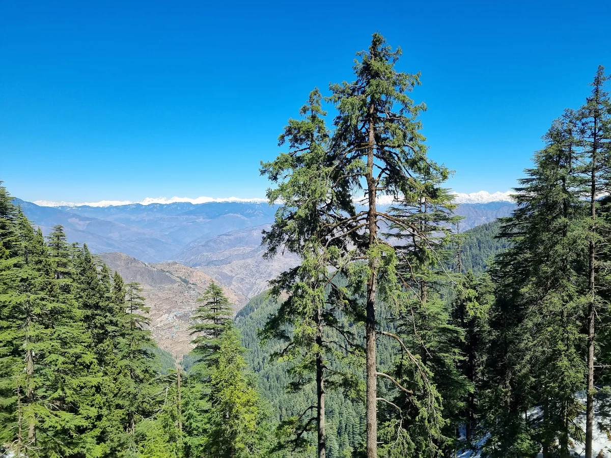 Lokhandi Snow Point | What to Know Before You Go