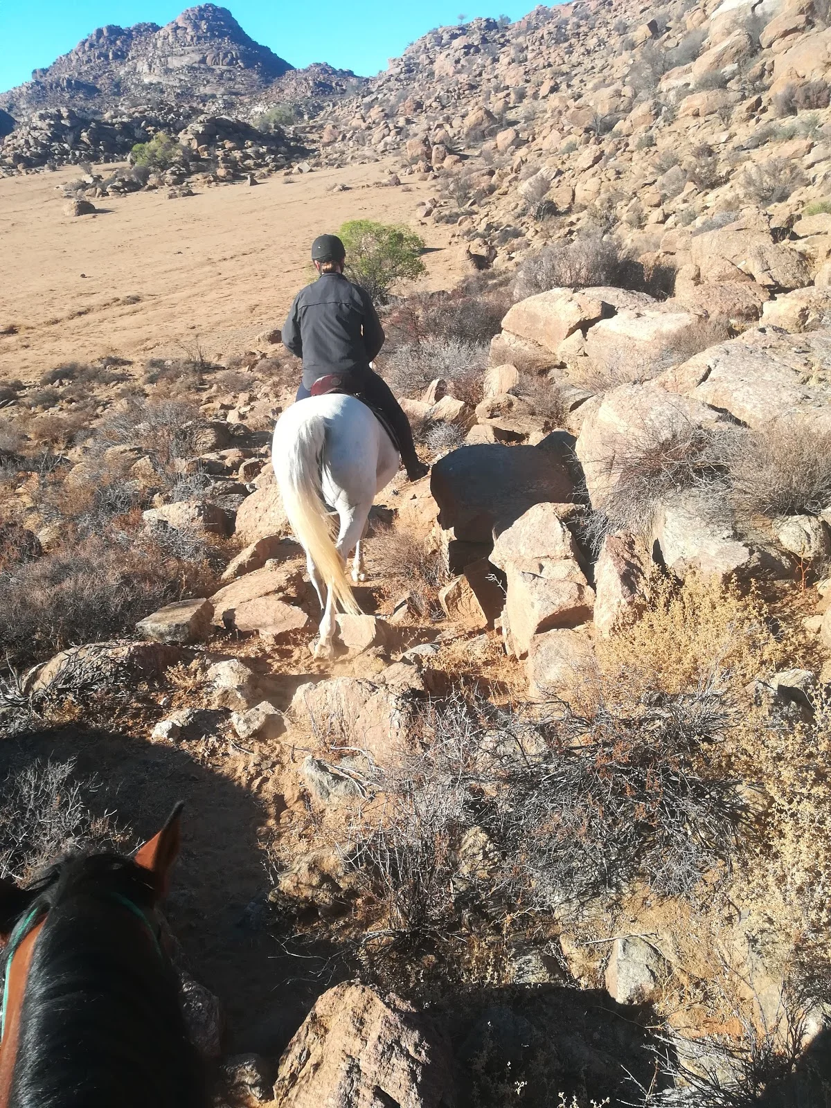 Namaqua Horse Trails in Springbok - Ask AI | mindtrip