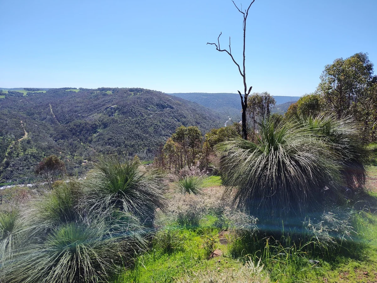 Walyunga Scenic Lookout in Bullsbrook | Ask Anything