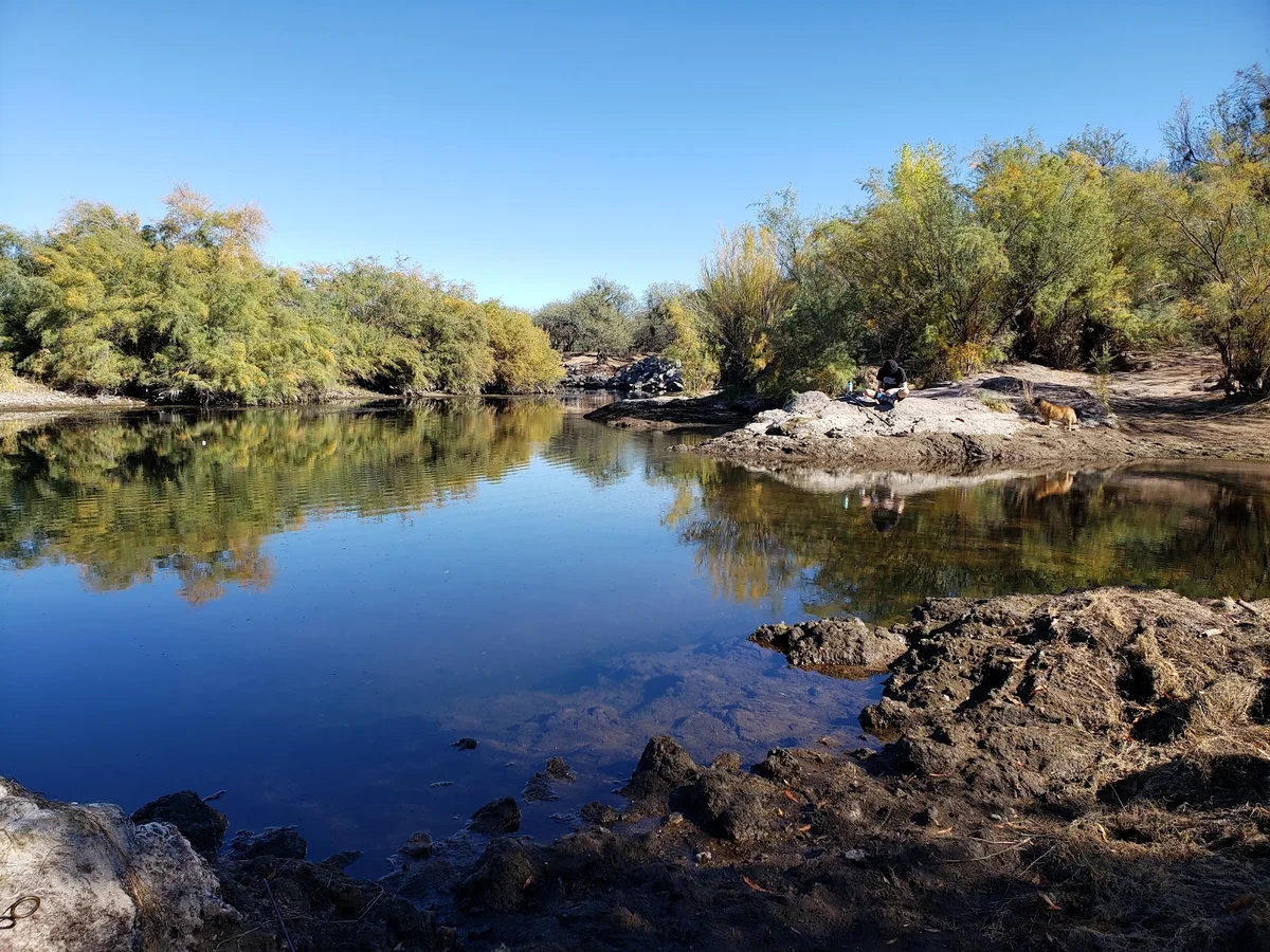 Coon Bluff Recreation Area | What to Know Before You Go