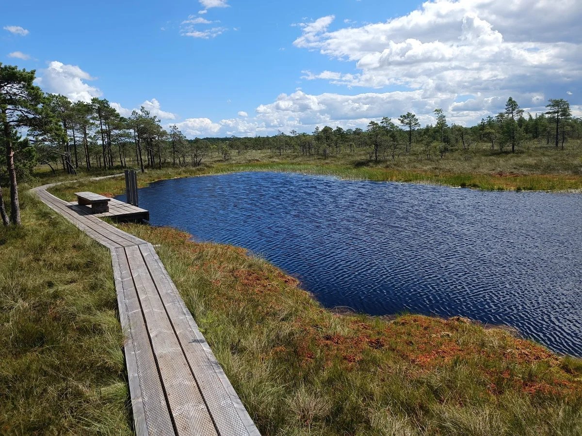 Riisa nature trail in Riisa - Ask AI | mindtrip