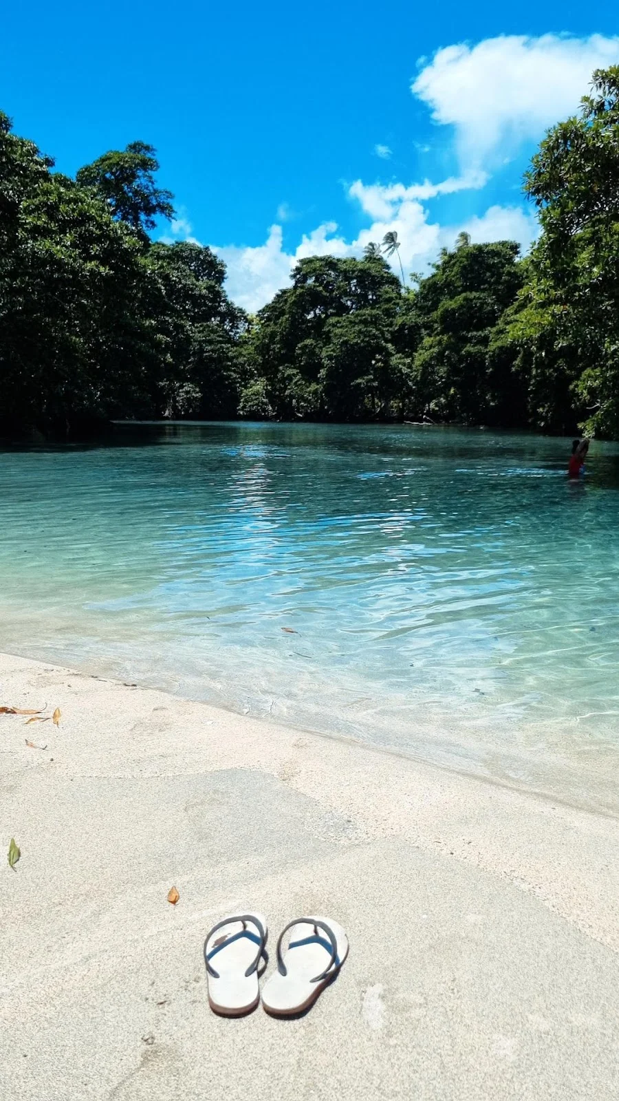 Asaga River Pool and Beach Fale in Asaga | Ask Anything