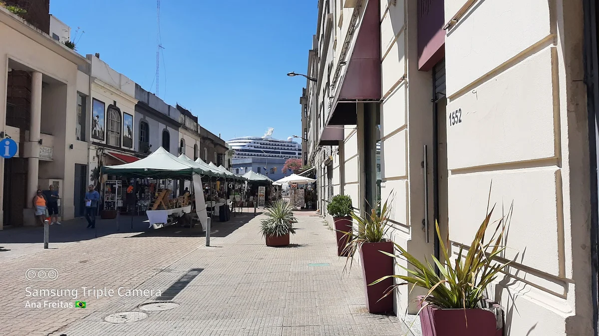 Galería Acatras del Mercado | What to Know Before You Go