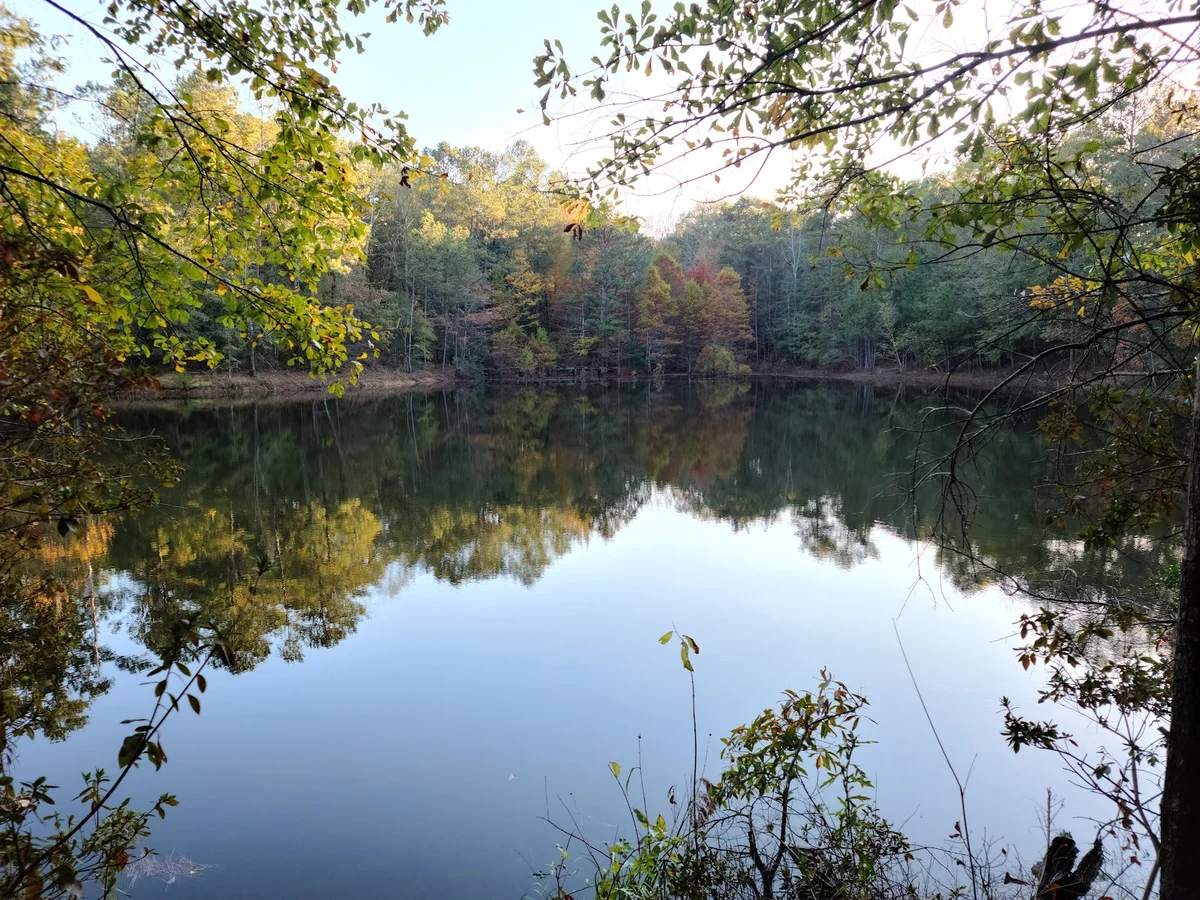 Troy Arboretum in Troy, Alabama - Ask AI | mindtrip