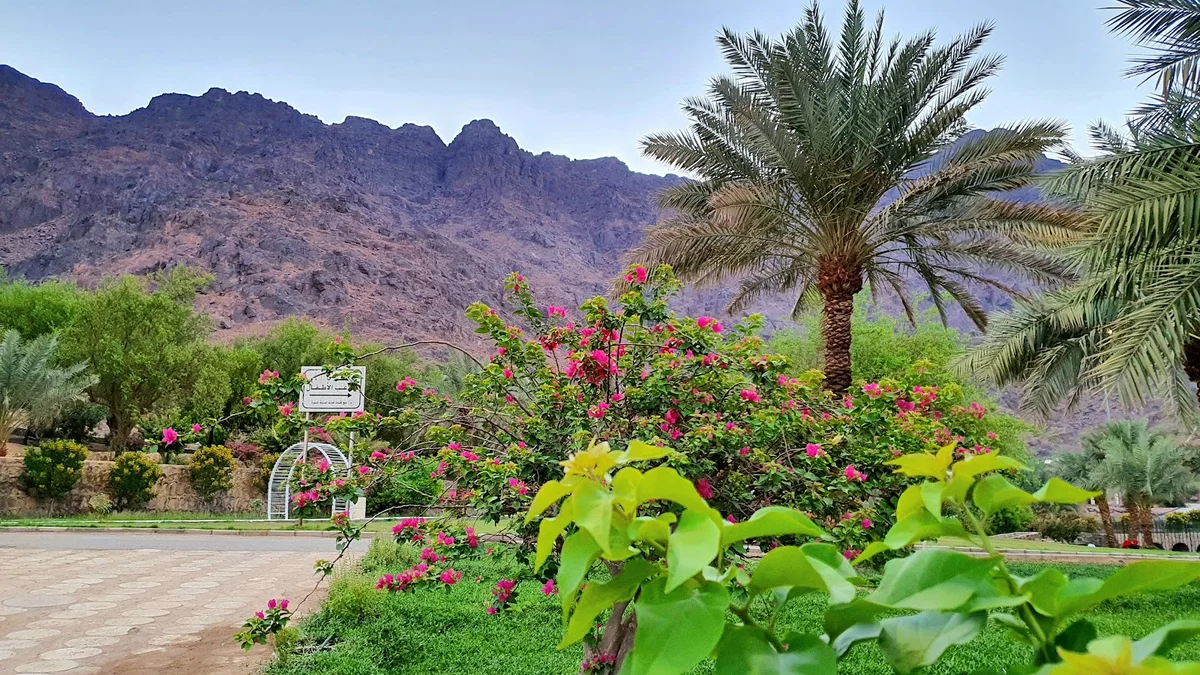 Prince Mohammed bin Abdul Aziz Park - Ask AI | mindtrip