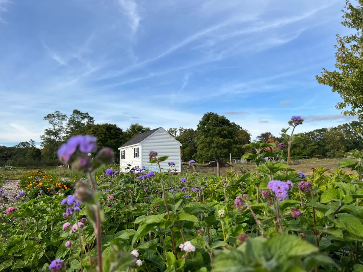 Codman Community Farms | What to Know Before You Go