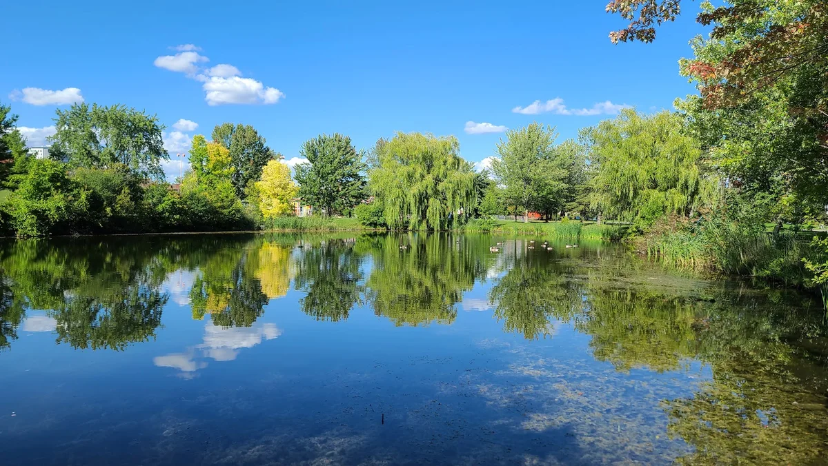Parc Angrignon in Westmount | What to Know Before You Go