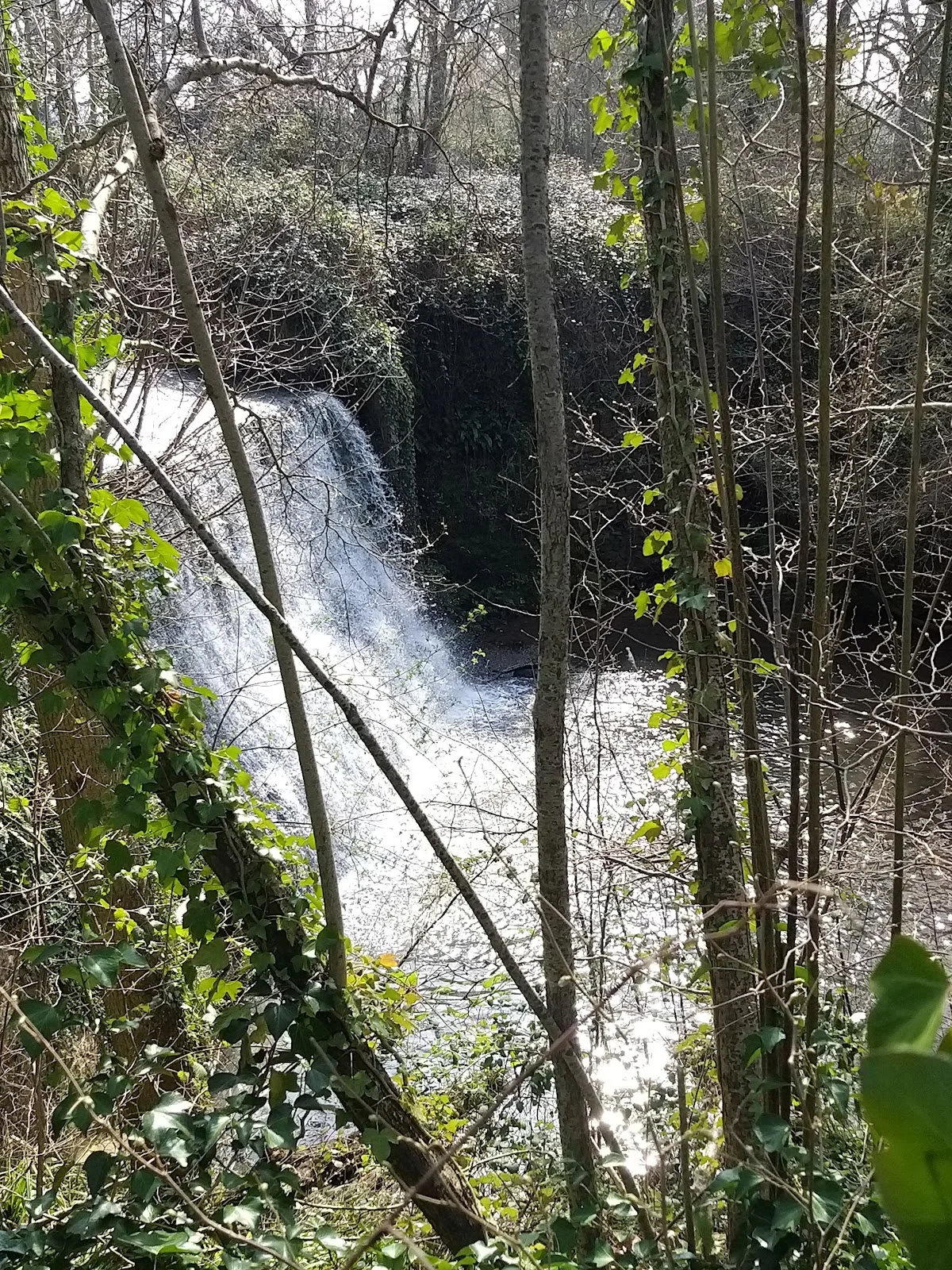 Trull Waterfall in Taunton, England | Ask Anything