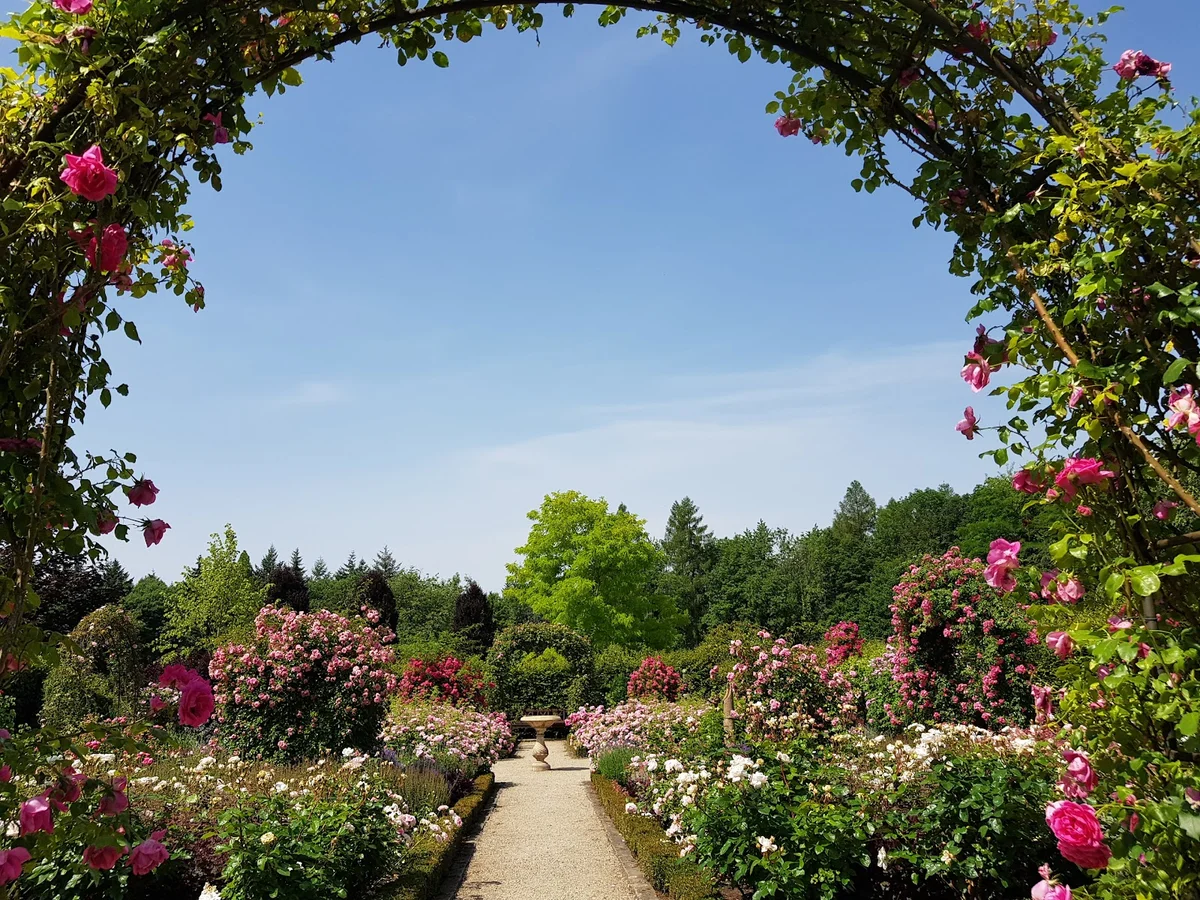Garten der Sinne in Merzig | What to Know Before You Go