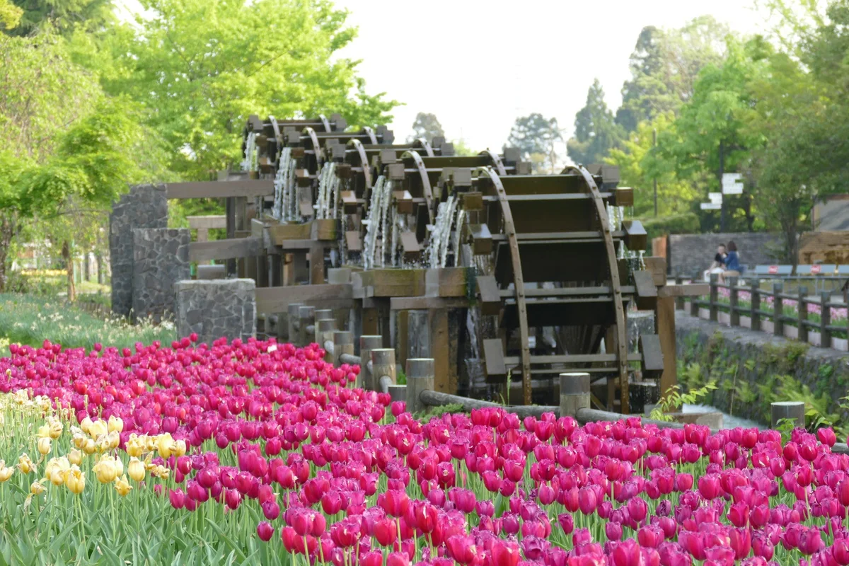 Waterwheels in Tonami, Toyama Prefecture - Ask AI | mindtrip