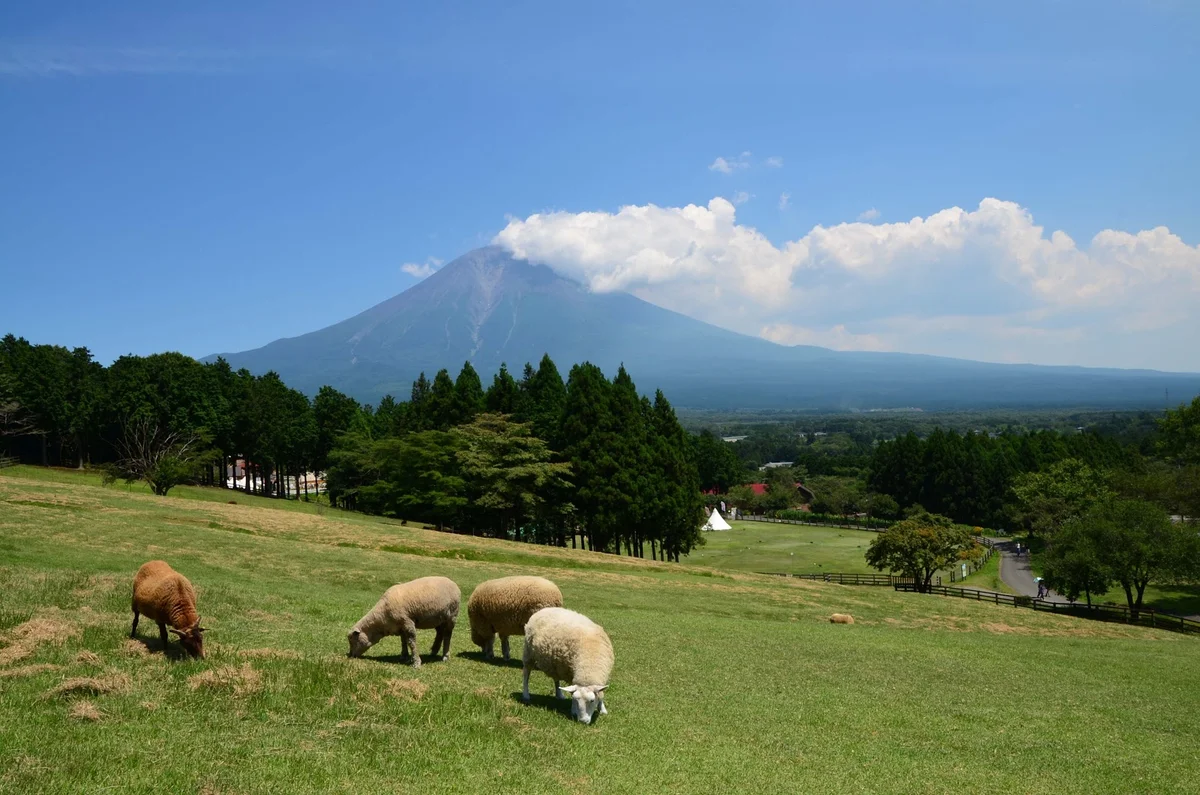 Makaino Farm Resort in Fujinomiya, Shizuoka | Ask Anything