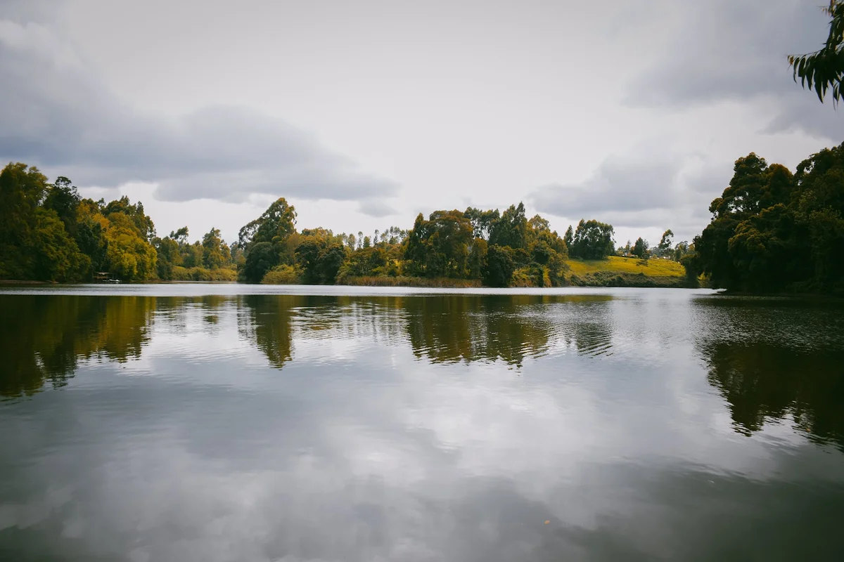 Ruiru Dam in Ruiru, Kiambu County - Ask AI | mindtrip