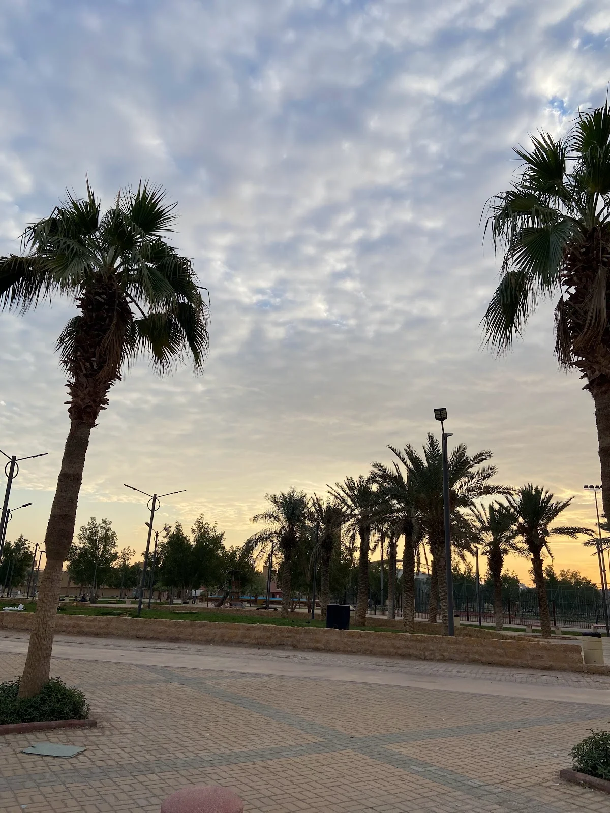 Al Douh Park in Riyadh, Riyadh Province - Ask AI | mindtrip