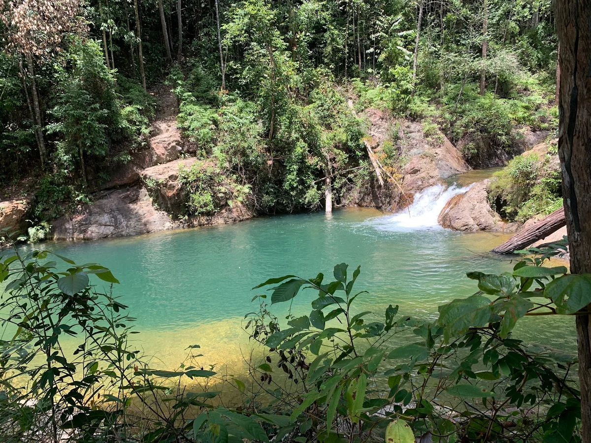 Hutan Lipur Eco Rimba Jerangkang