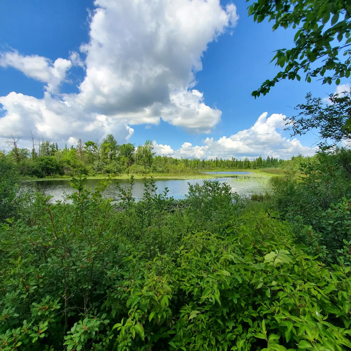Wixom Habitat in Wixom, Michigan | Ask Anything