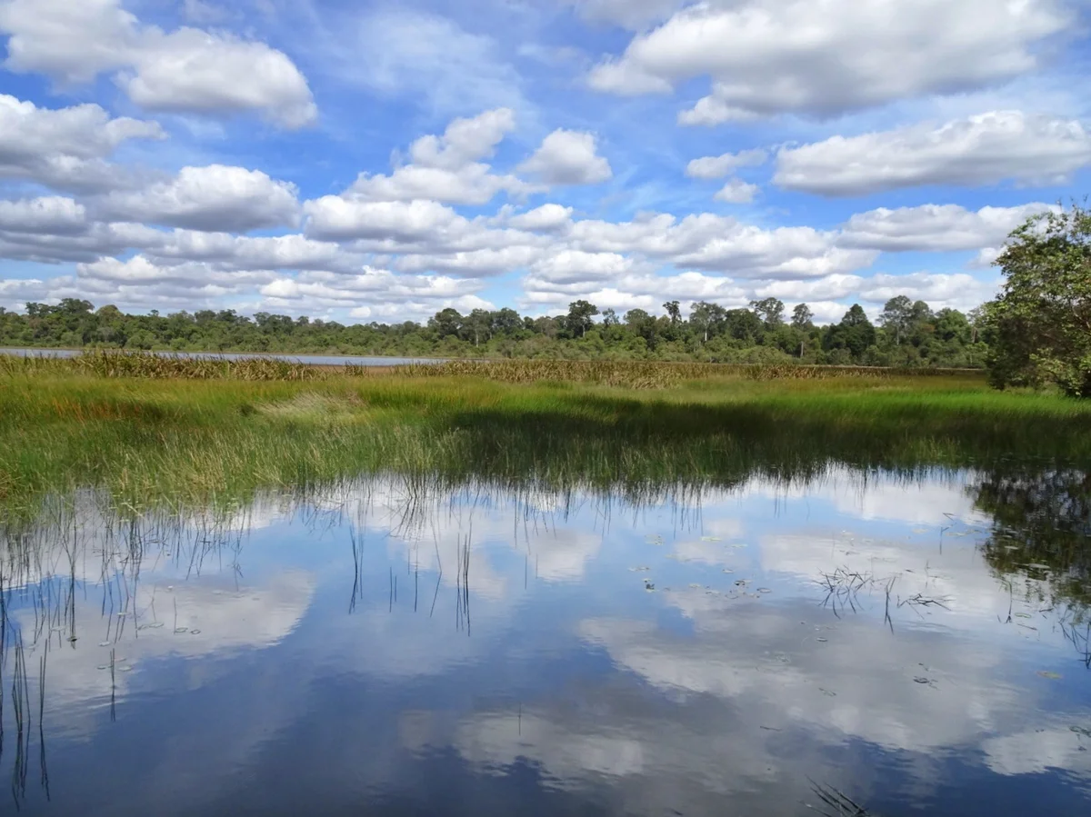 Dong Natad National Protected Forest