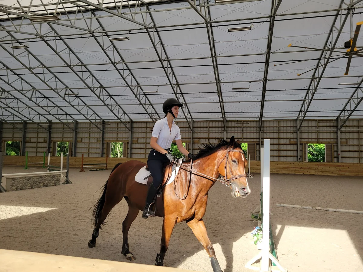 Saddle Ridge Riding Center - Ask AI | mindtrip