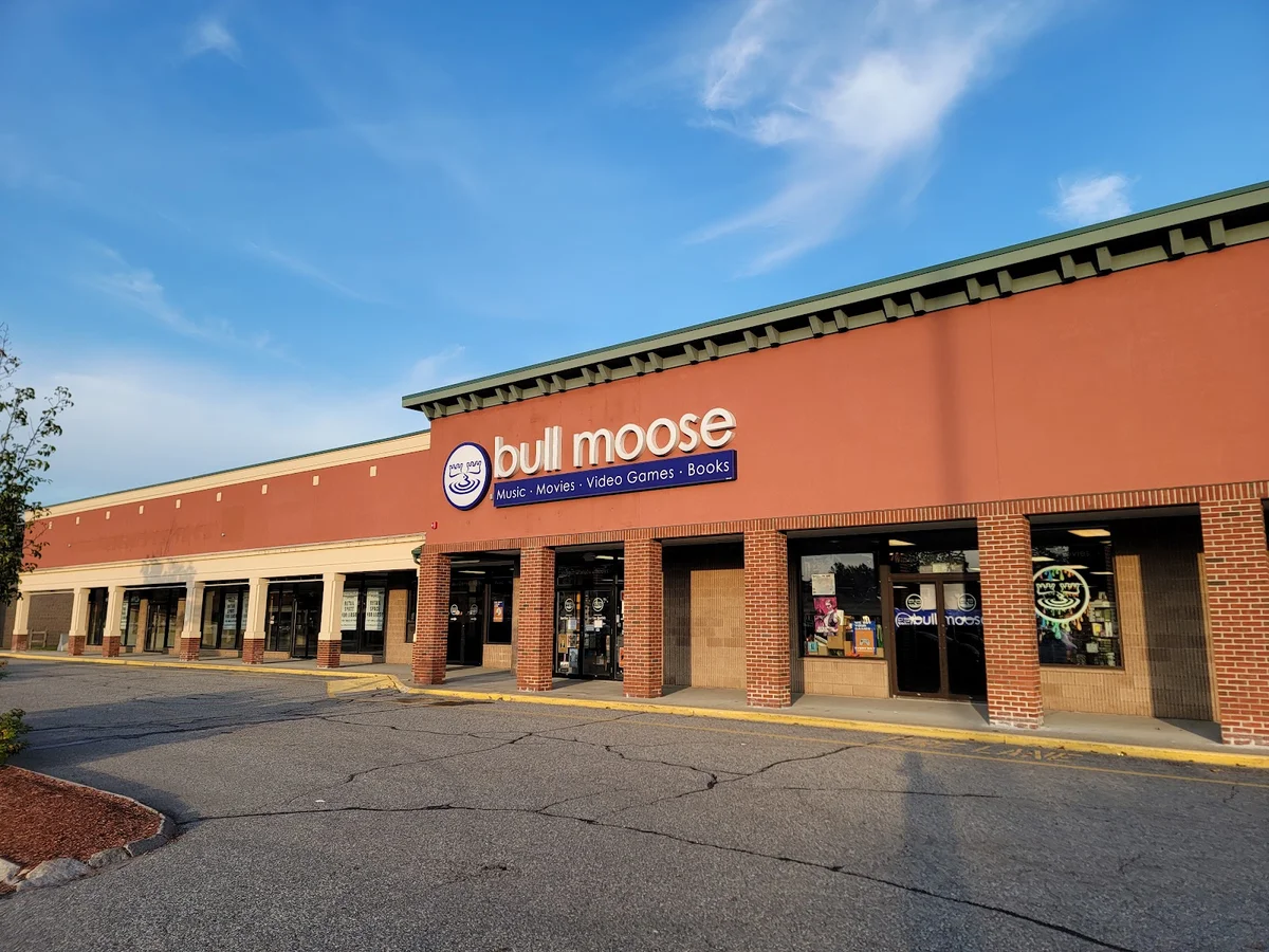 Bull Moose in Keene | What to Know Before You Go
