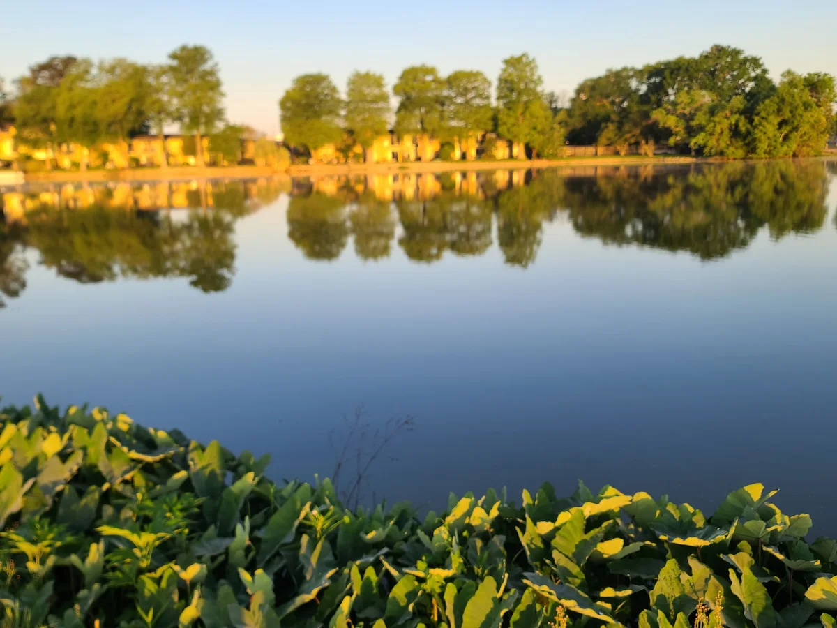 University Lake in Baton Rouge - Ask AI | mindtrip