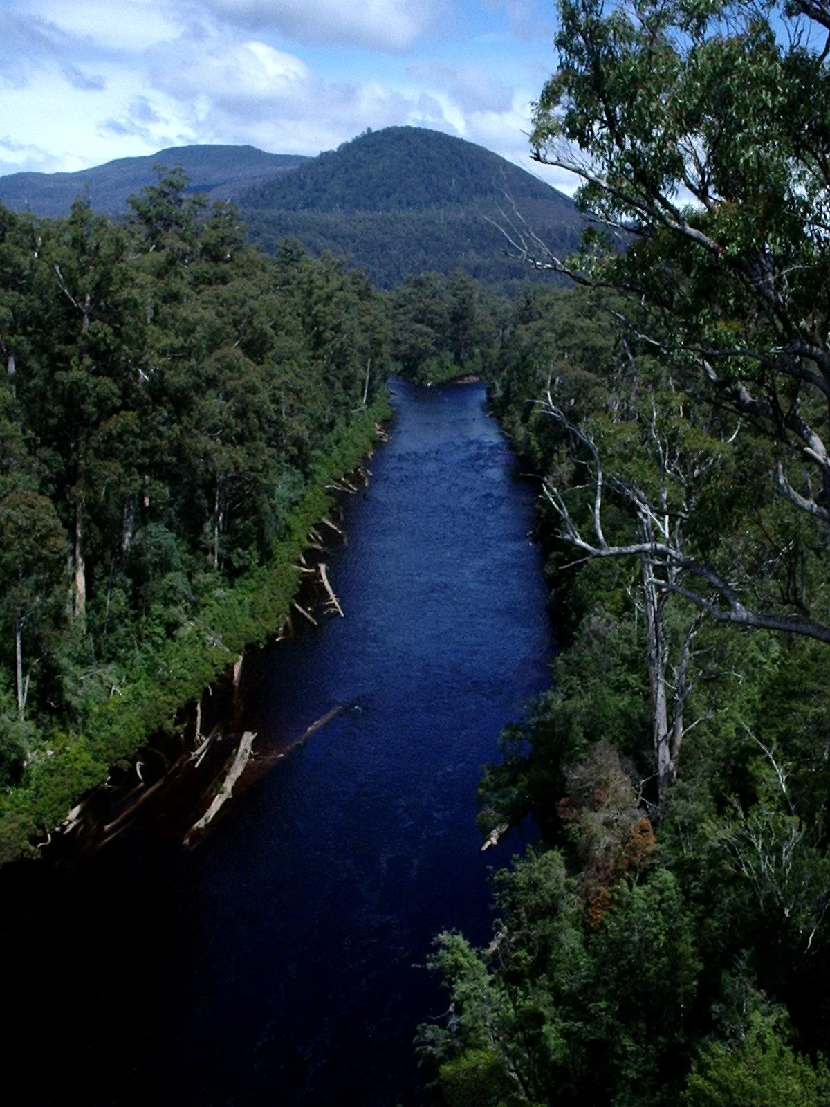 Huon Trail Self-Drive Tour | What to Know Before You Go