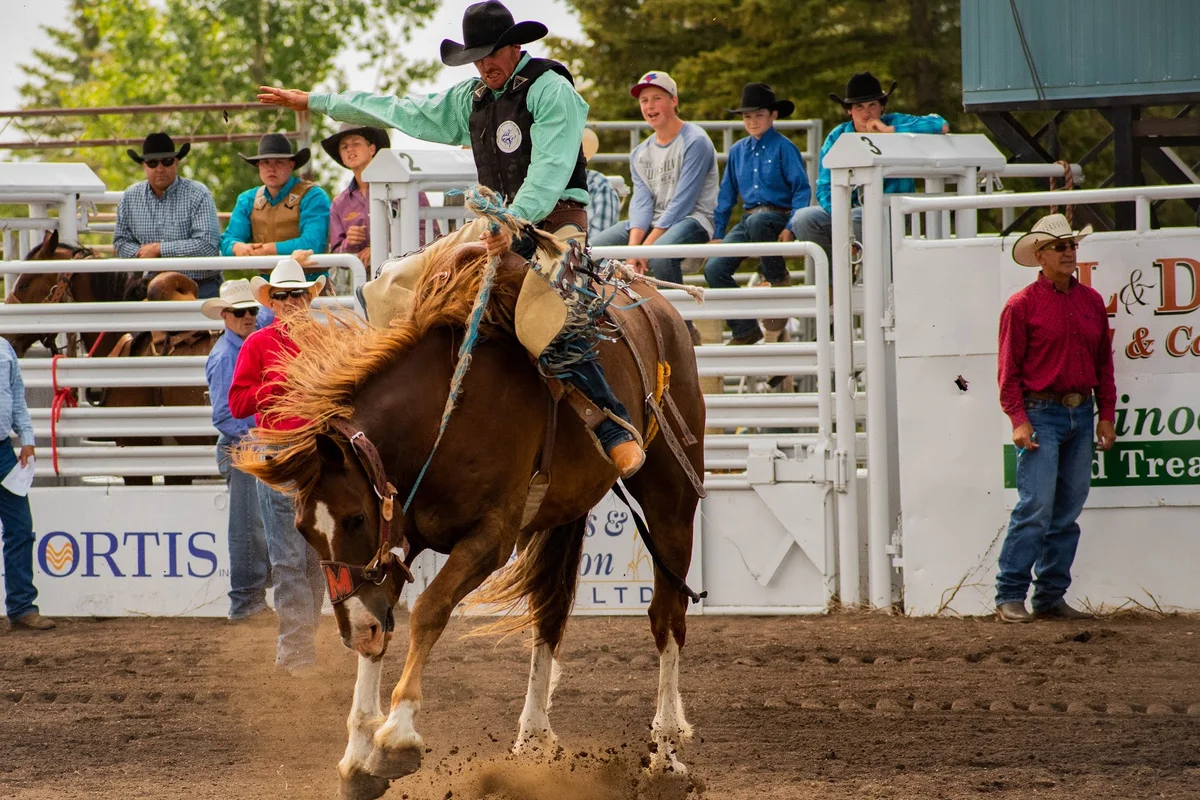 Foremost Rodeo Grounds | What to Know Before You Go