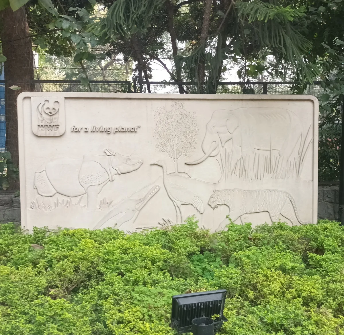 WWF-India in New Delhi, Delhi | What to Know Before You Go