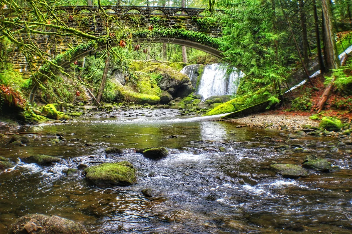 Whatcom Falls Park in Bellingham, Washington | Ask Anything