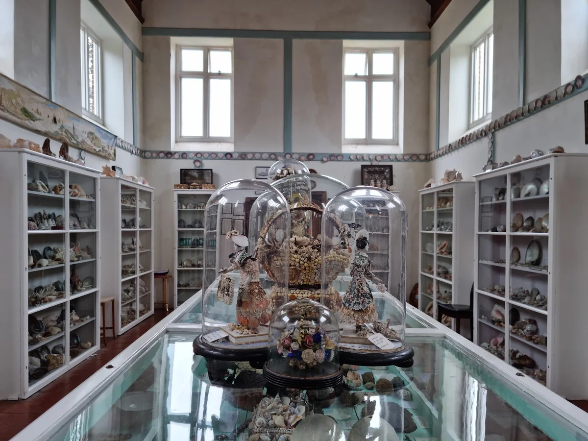 The Shell Museum in Glandford | What to Know Before You Go
