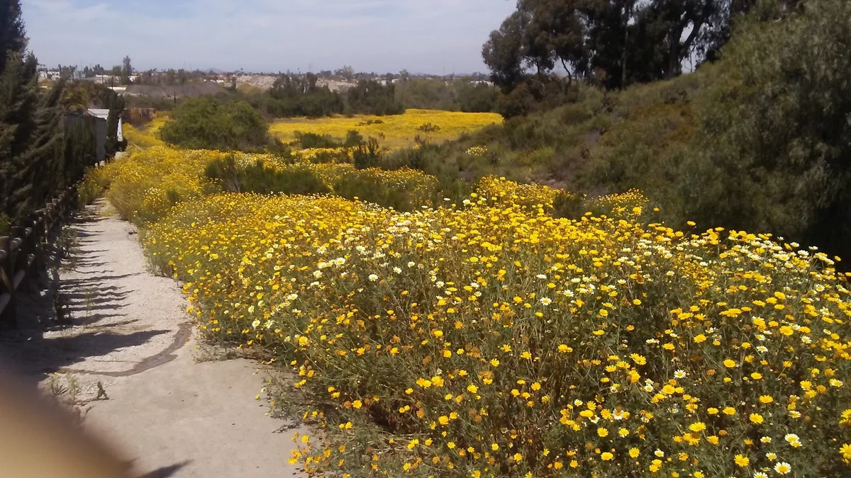 Otay Valley Regional Park | What to Know Before You Go