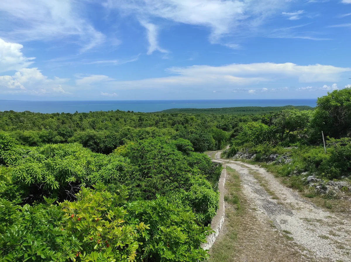 Portland Point in Clarendon | What to Know Before You Go