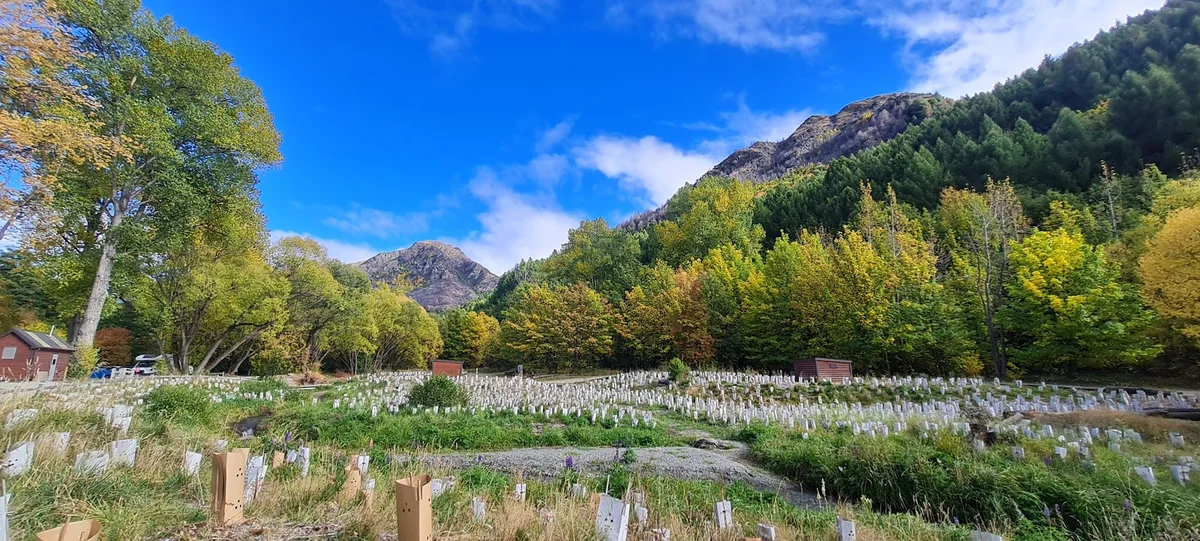 Arrowtown Gallery in Arrowtown - Ask AI | mindtrip