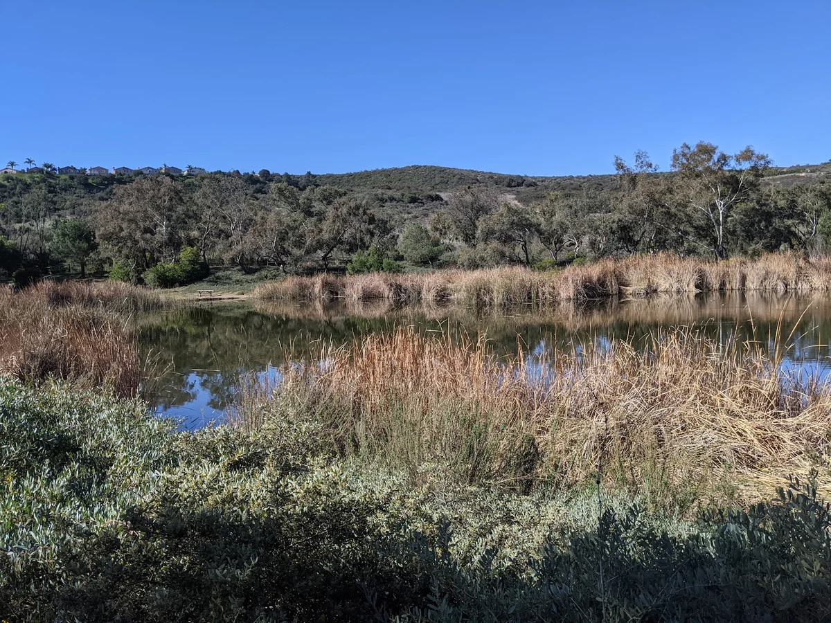 Poway Pond in Poway, California - Ask AI | mindtrip