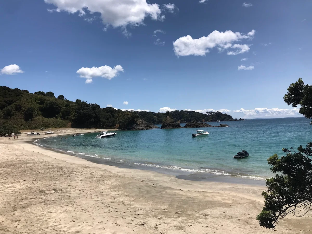 Cactus Bay in Auckland | Ask Anything