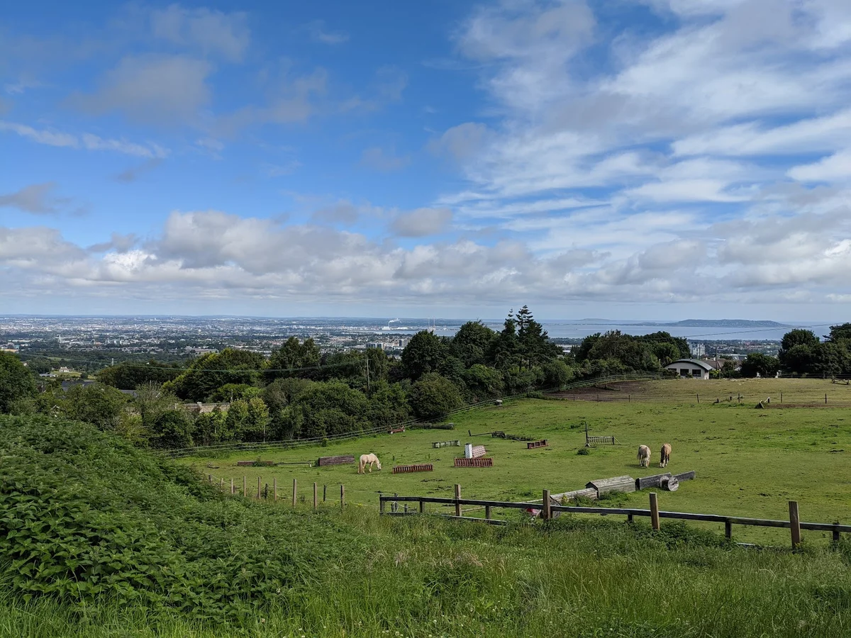 The Paddocks Riding Centre in Dublin - Ask AI | mindtrip