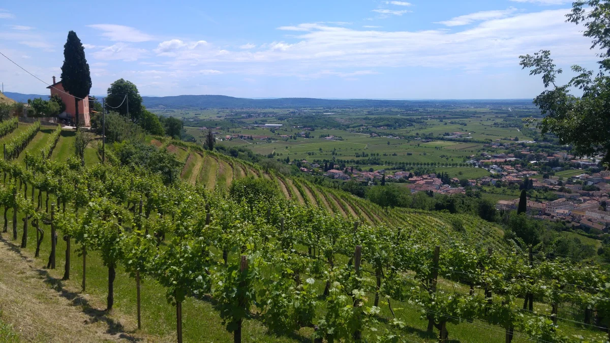 Rocca di Cormons in Cormons | What to Know Before You Go
